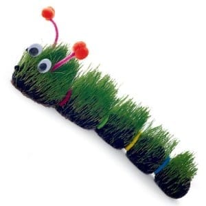 A caterpillar craft made from segments of dirt and grass with googly eyes and pipe cleaner antennae