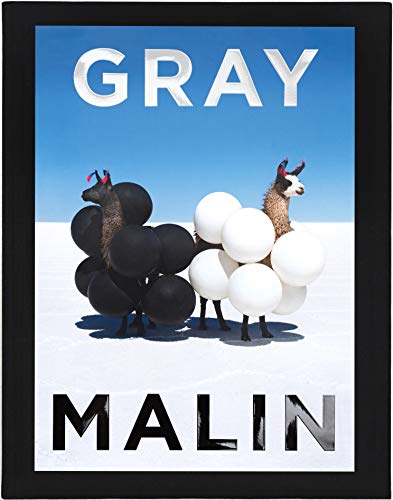Gray Malin photography book