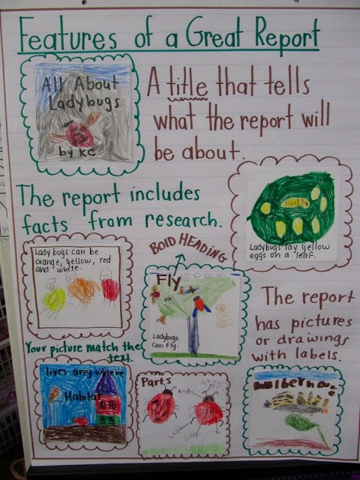 All the Best Writing Anchor Charts for Kids WeAreTeachers