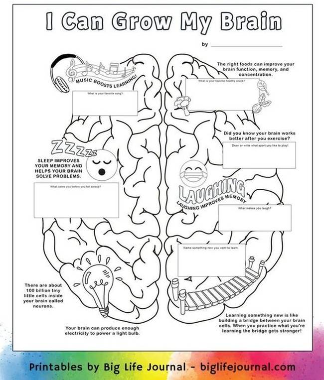 Printable worksheet with a model of the brain, exploring the idea of neuroplasticity