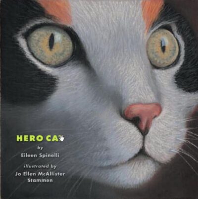 Jo Ellen McAllister Stammen tarafından çizilen, Eileen Spinelli'nin Kahraman Kedi kitabının kitap kapağı ve kedinin yüzünün yakından görüntüsü