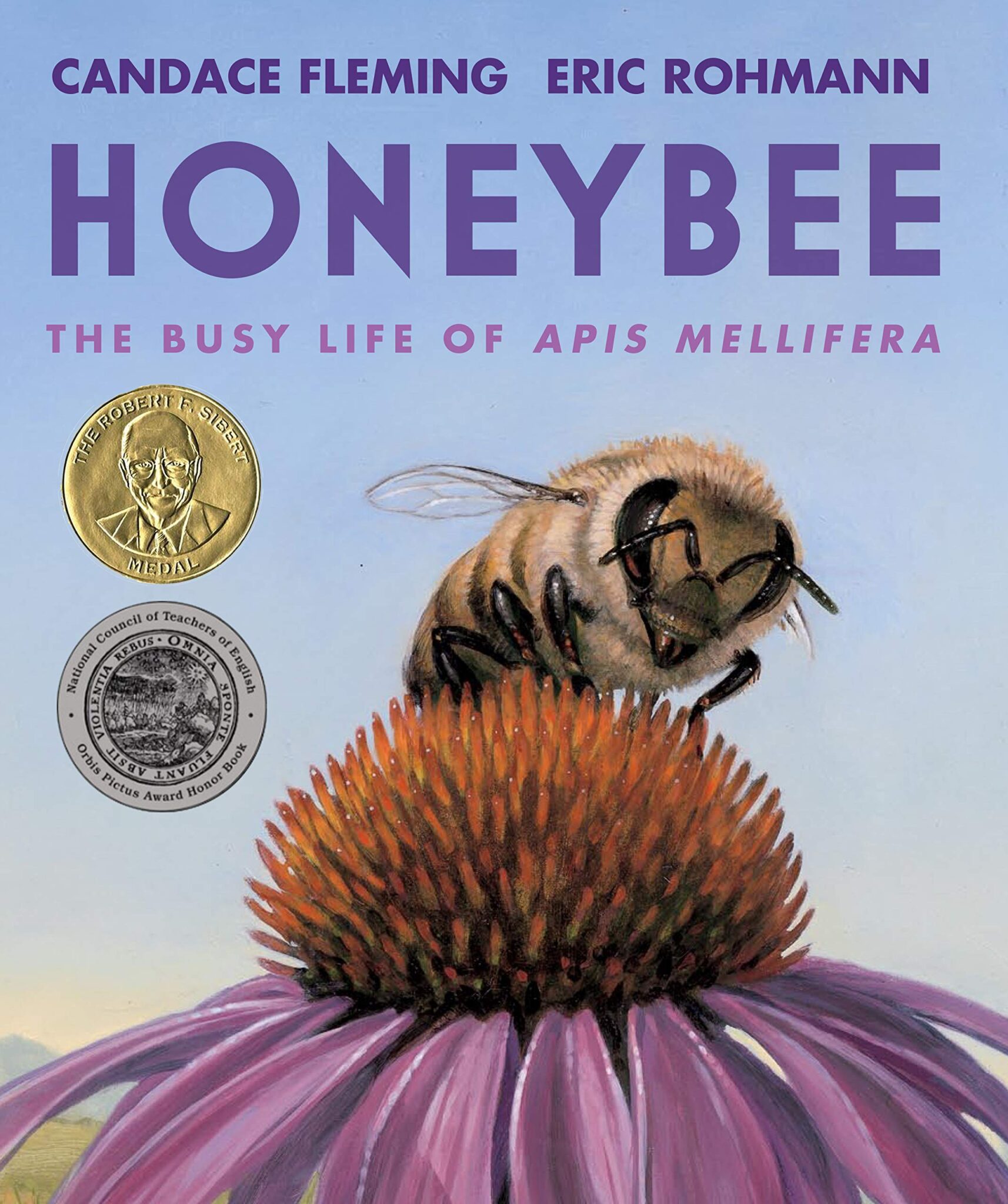 2022 AwardWinning Kids BooksPerfect for the Classroom Library