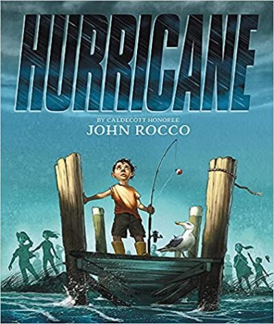 Book cover for Hurricane as an example of 3rd grade books