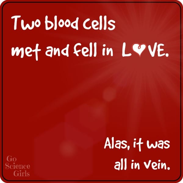 Two blood cells met and fell in love.