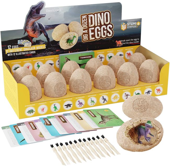 Dinosaur eggs with excavating tools and small plastic dinosaur inside (Inexpensive Gift Ideas for Students)