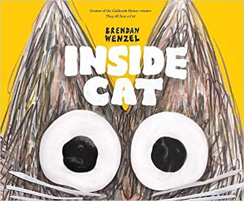 Book cover for Inside Cat as an example of kindergarten books