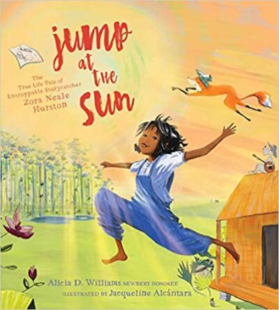 Book cover for Jump at the Sun