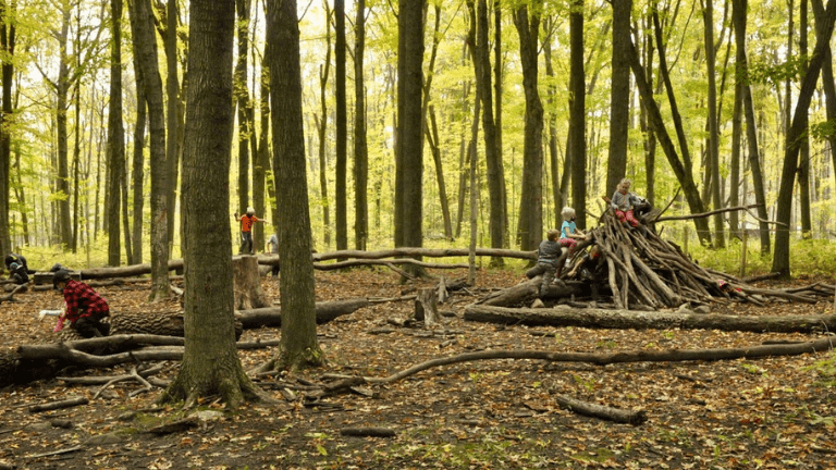 Kids Playing in Outdoor School