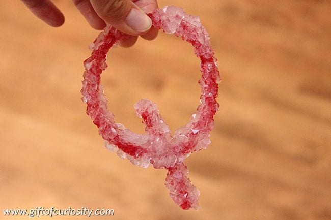 Red pipe cleaner twisted into the shape of a Q, with crystals grown on it (Kindergarten Science Activities)