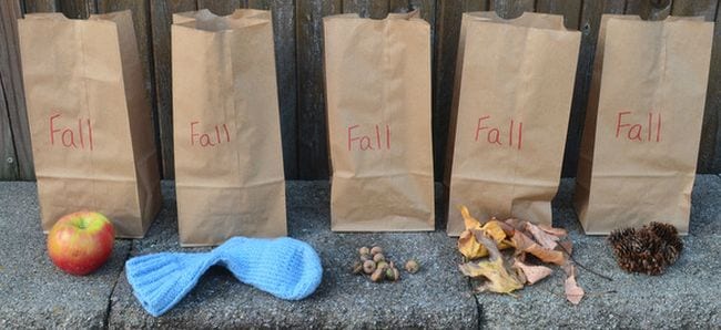 Five paper bags labeled Fall, with an apple, sock, acorns, leaves, and pinecones in front (Kindergarten Science)