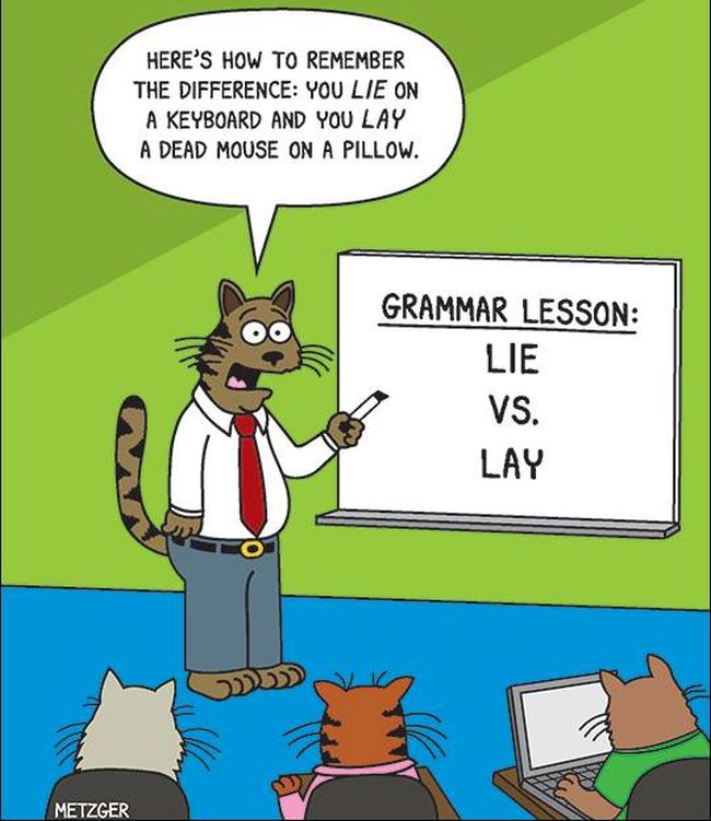 Cat teaching a class lie vs. lie. Text reads: "Here's how to remember the difference: You lie on a keyboard, and you lay a dead mouse on a pillow."