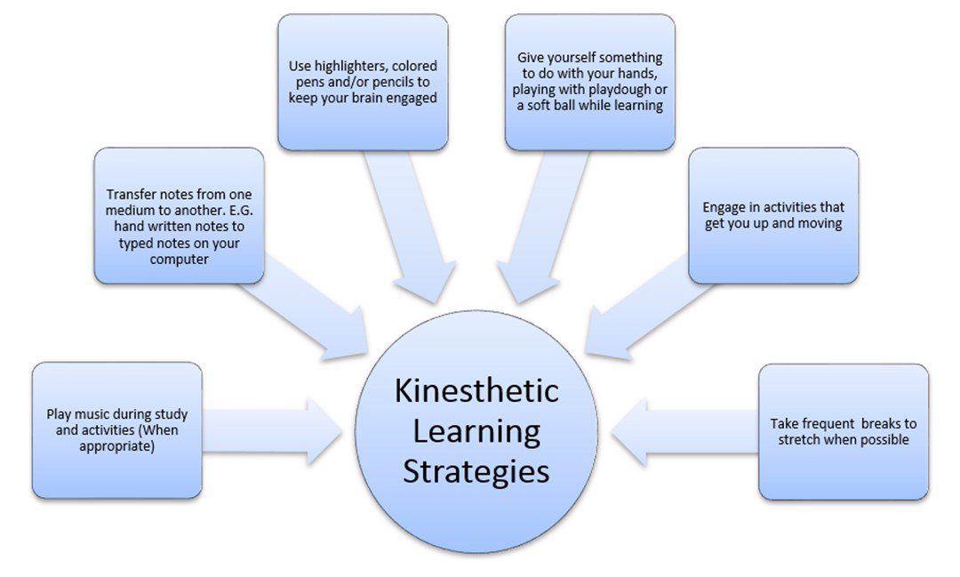 Infographic of kinesthetic learning strategies (Learning Styles)