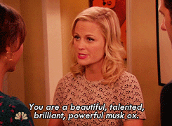 Parks and Rec GIF 