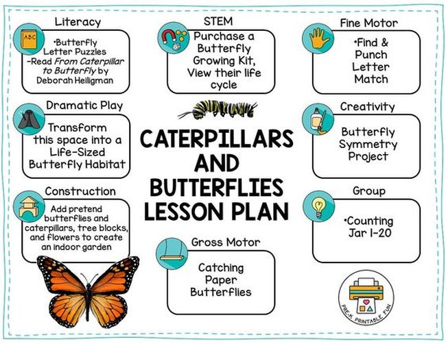 Caterpillars and Butterflies pre-k lesson plan showing activities in various categories (Lesson Plan Examples)