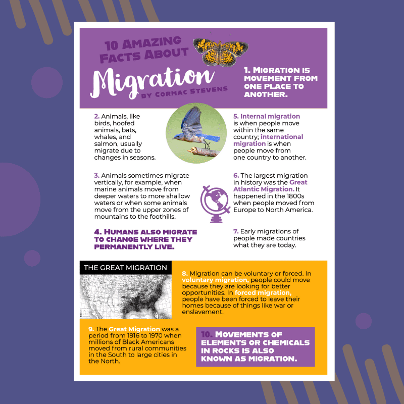 image of poster called amazing facts about migration