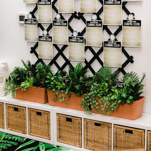 Organized cubbies with plants as an example of a nature themed classroom