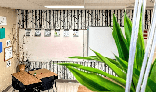 classroom with plants and tree wallpaper as an example of a nature themed classroom