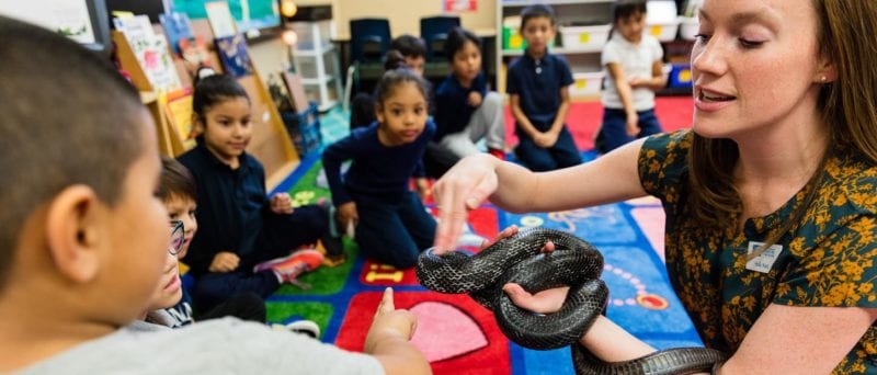 21 Of The Best Chicago Field Trip Ideas We Are Teachers