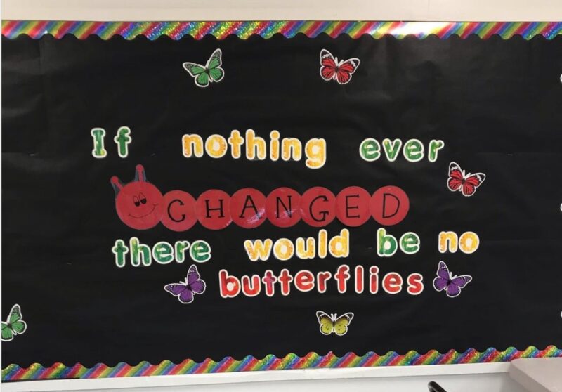 If nothing ever changed there would be no butterflies - Spring Bulletin Boards