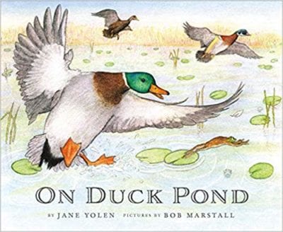 Book cover for On Duck Pond