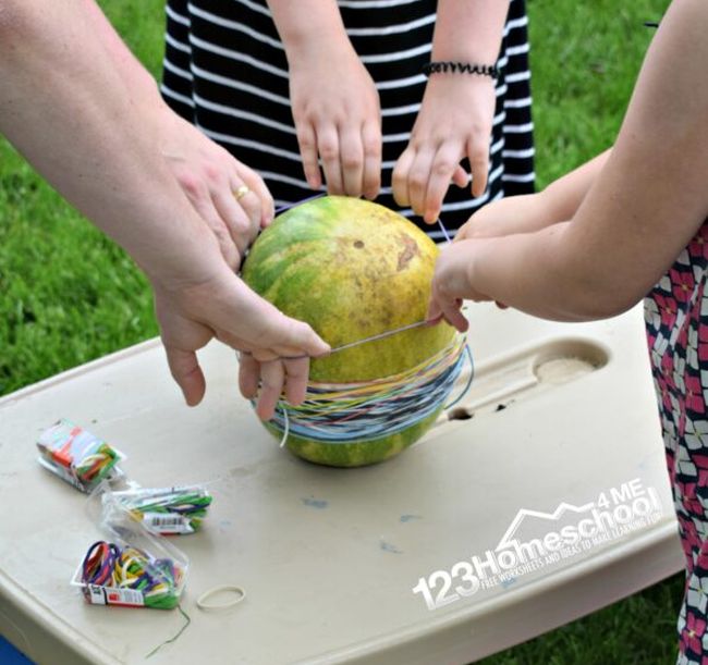 Students wrapping rubber bands around a small watermelon (Outdoor Science Activities)