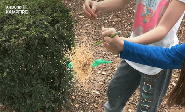 Students popping a balloon and letting the seeds inside fly on the wind (Outdoor Science)