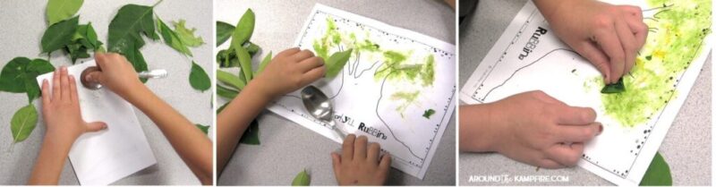 ثلاث صور تُظهر طالبًا يُبدع فنًا عن طريق فرك الكلوروفيل من الأوراق (أنشطة دورة حياة النبات)