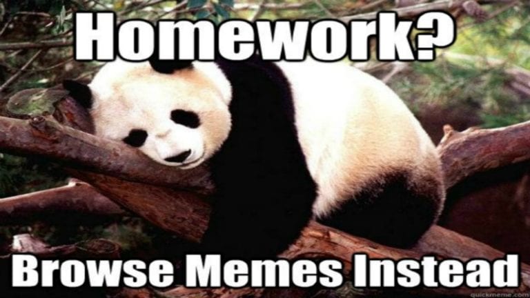 who made homework meme