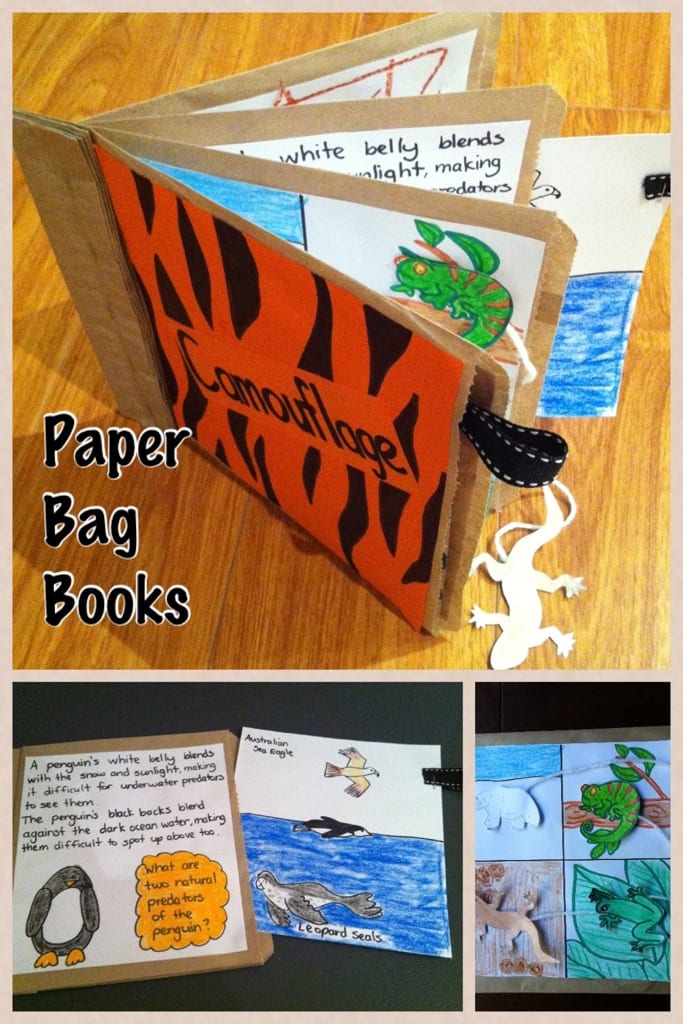 mini book report ideas