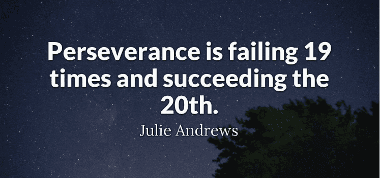 "Perseverance is failing 19 times and succeeding the 20th" - Julie Andrews