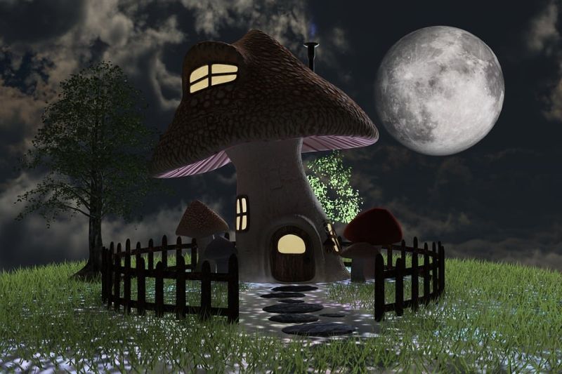 Illustration of a mushroom turned into a house, with a fence and lighted windows, under a full moon