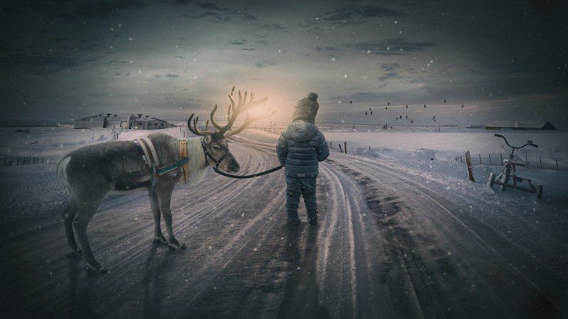 Boy leading a reindeer along a snowy path into the setting sun (Picture Writing Prompts)