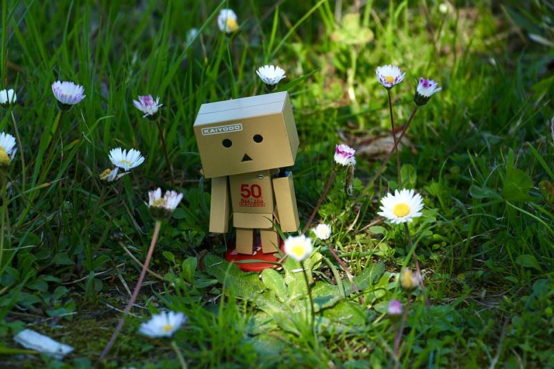 Small cardboard robot in a field of daisies (Picture Writing Prompts)