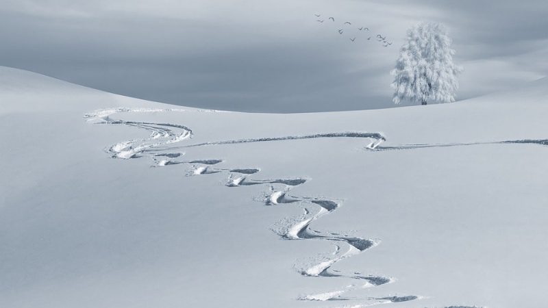 Snow-covered field with a winding trail of footprints