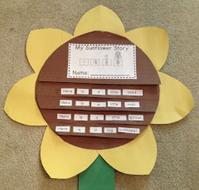 Sunflower flipbook with plant life cycle sentences to sequence