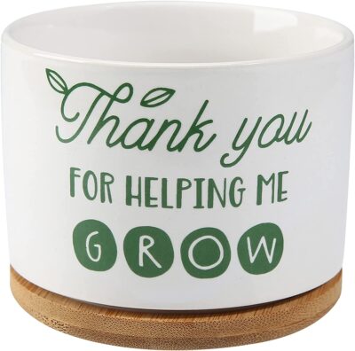 На маленьком белом горшке с растением написано «Спасибо за помощь в росте».