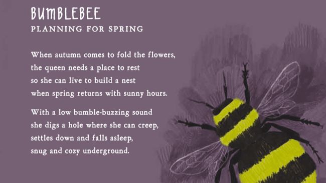 Poem called Bumblebee: Planning for Spring, with a picture of a bee (Poetry Activities)