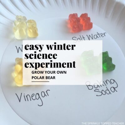 4 different colored gummy bears are shown in pairs. One says water, one says salt water, one says vinegar, and one says baking soda.