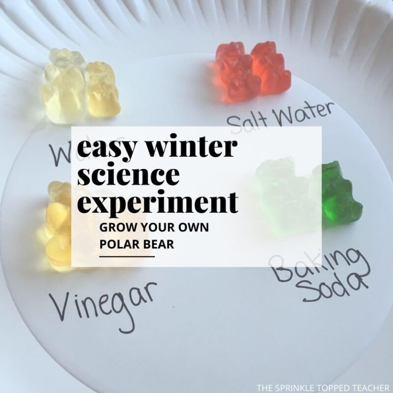 40 of the Coolest Winter Science Experiments and Activities