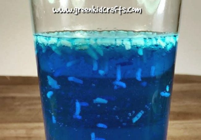 Glass of blue liquid with rice floating and moving in it (Preschool Science)