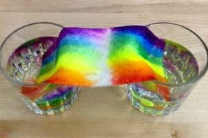 15 Simple and Fun Preschool Science Experiments and Activities