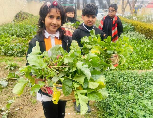 Children holding produce standing in a garden they've grown themselves (Project Based Learning Ideas)