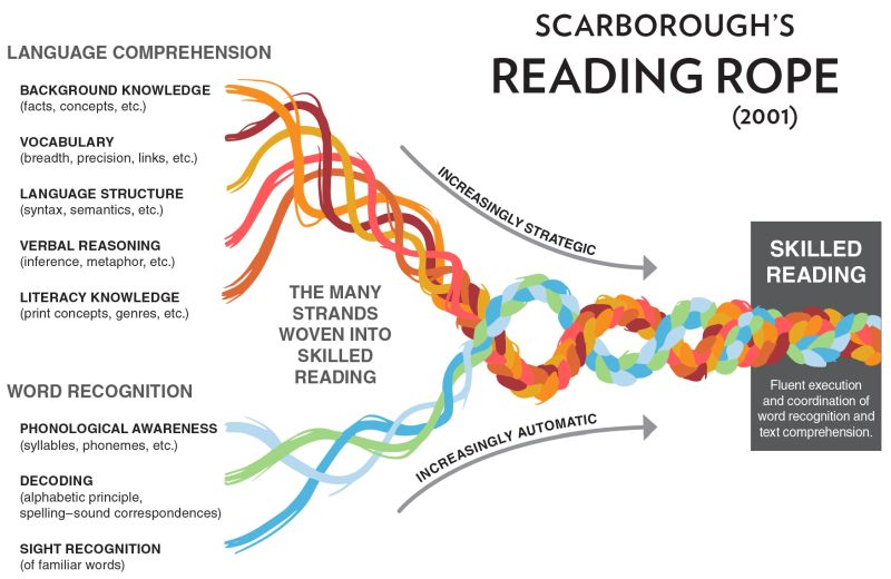 A diagram of Scarborough's Rope, a model that explains skilled literacy