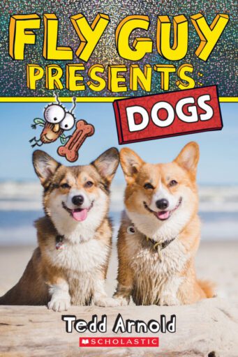 dollar books- Fly Guy Presents Dogs