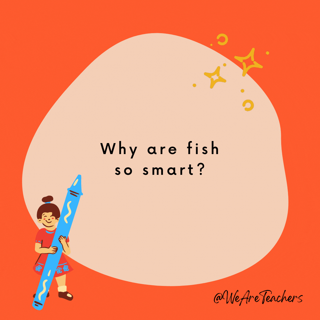 Why are fish so smart? Because they live in schools. -- school jokes for kids