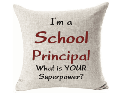 school principal superpower pillow