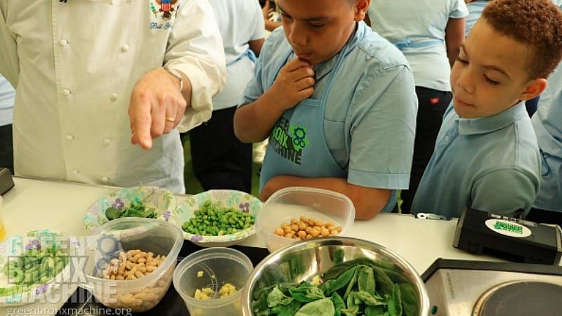 school garden