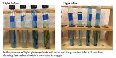 class science experiments for high school