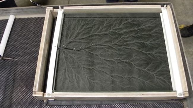 Lichtenberg figure generated on a sheet of Plexiglassd in 