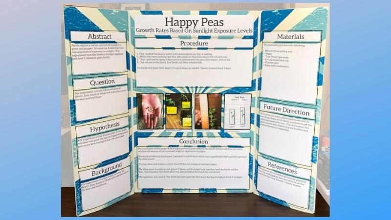 3 Easy Science Fair Board Projects and Creative Ways to Use ...